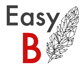 logo easyb